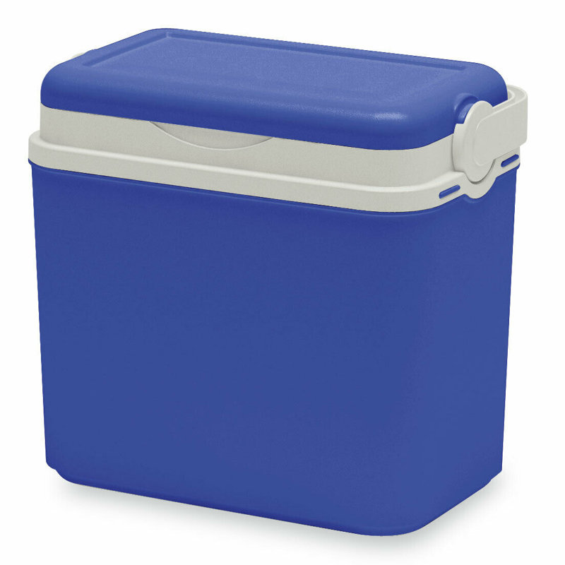 Symple Stuff 10 L Handheld Cooler Wayfair.co.uk